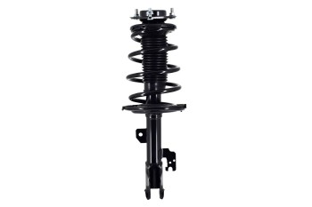 Suspension Strut and Coil Spring Assembly