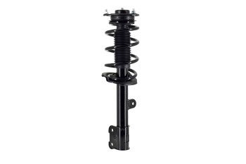 Suspension Strut and Coil Spring Assembly