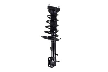 Suspension Strut and Coil Spring Assembly