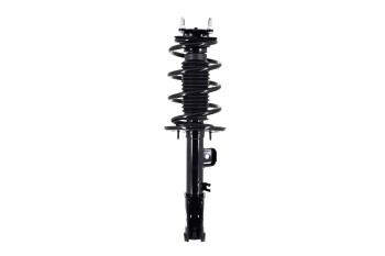Suspension Strut and Coil Spring Assembly