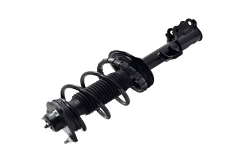 Suspension Strut and Coil Spring Assembly