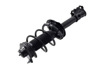 Suspension Strut and Coil Spring Assembly
