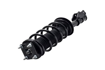 Suspension Strut and Coil Spring Assembly
