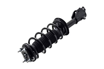 Suspension Strut and Coil Spring Assembly