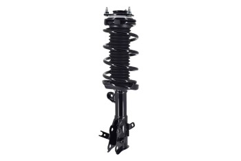Suspension Strut and Coil Spring Assembly