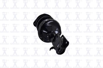 Suspension Strut and Coil Spring Assembly