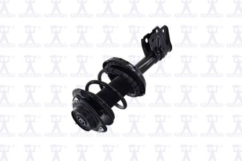 Suspension Strut and Coil Spring Assembly
