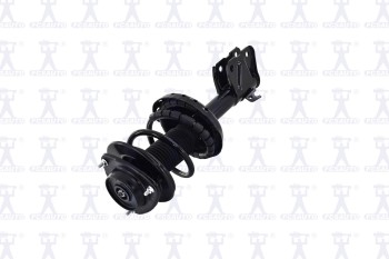 Suspension Strut and Coil Spring Assembly