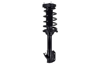 Suspension Strut and Coil Spring Assembly