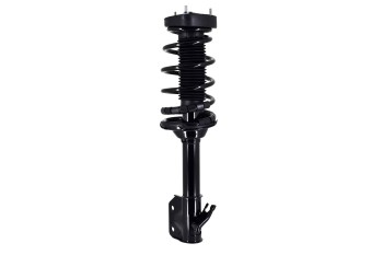 Suspension Strut and Coil Spring Assembly
