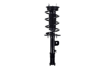 Suspension Strut and Coil Spring Assembly
