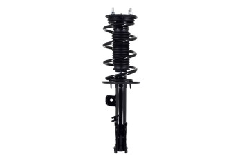 Suspension Strut and Coil Spring Assembly