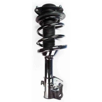 Suspension Strut and Coil Spring Assembly
