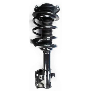 Suspension Strut and Coil Spring Assembly