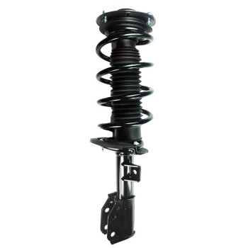 Suspension Strut and Coil Spring Assembly