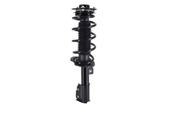 Suspension Strut and Coil Spring Assembly