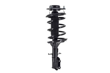 Suspension Strut and Coil Spring Assembly