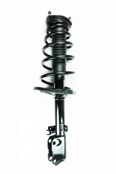 Suspension Strut and Coil Spring Assembly