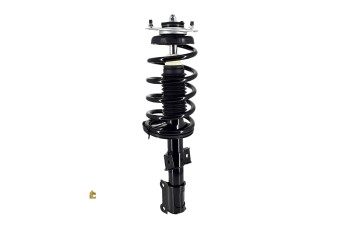 Suspension Strut and Coil Spring Assembly