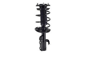 Suspension Strut and Coil Spring Assembly