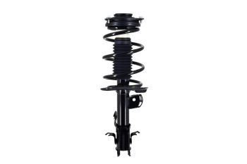 Suspension Strut and Coil Spring Assembly