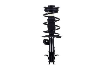 Suspension Strut and Coil Spring Assembly