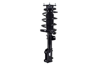 Suspension Strut and Coil Spring Assembly