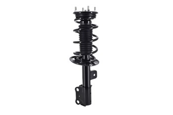 Suspension Strut and Coil Spring Assembly