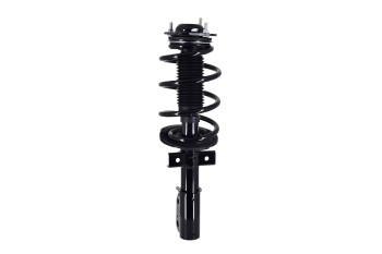 Suspension Strut and Coil Spring Assembly