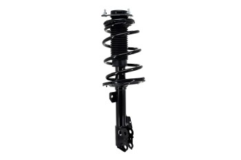 Suspension Strut and Coil Spring Assembly