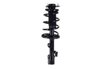 Suspension Strut and Coil Spring Assembly