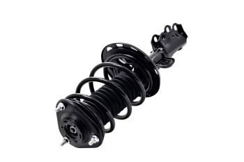 Suspension Strut and Coil Spring Assembly