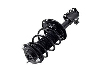 Suspension Strut and Coil Spring Assembly