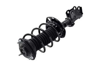 Suspension Strut and Coil Spring Assembly