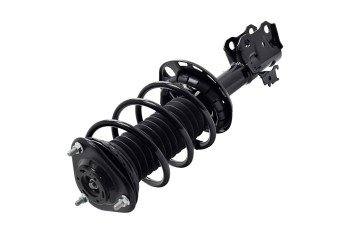 Suspension Strut and Coil Spring Assembly