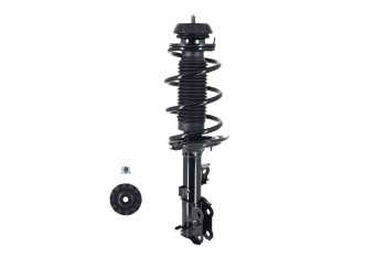 Suspension Strut and Coil Spring Assembly