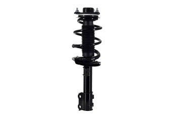 Suspension Strut and Coil Spring Assembly