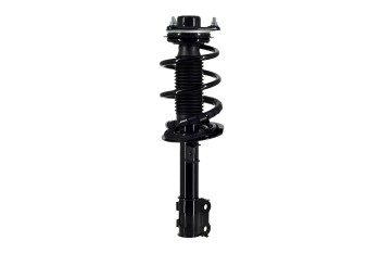 Suspension Strut and Coil Spring Assembly