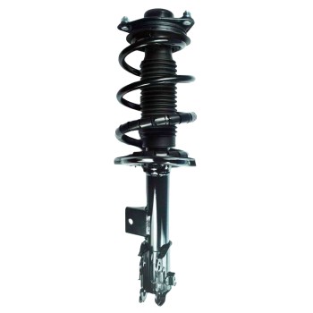 Suspension Strut and Coil Spring Assembly
