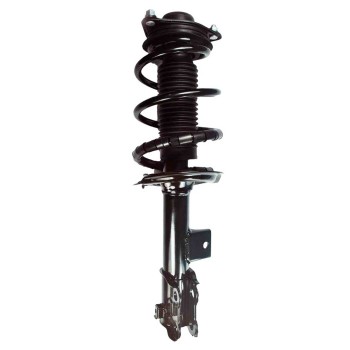 Suspension Strut and Coil Spring Assembly
