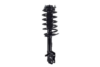 Suspension Strut and Coil Spring Assembly
