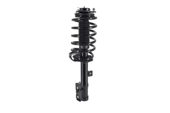 Suspension Strut and Coil Spring Assembly