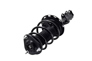 Suspension Strut and Coil Spring Assembly