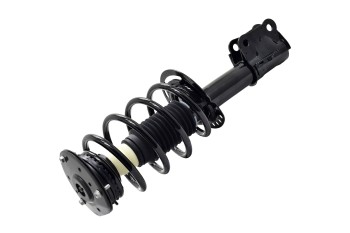 Suspension Strut and Coil Spring Assembly