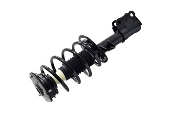 Suspension Strut and Coil Spring Assembly