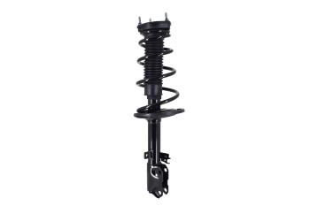Suspension Strut and Coil Spring Assembly