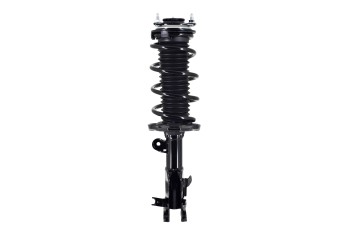 Suspension Strut and Coil Spring Assembly