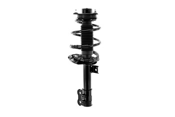 Suspension Strut and Coil Spring Assembly