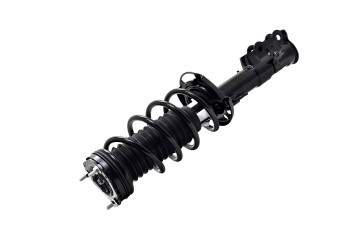 Suspension Strut and Coil Spring Assembly