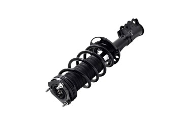Suspension Strut and Coil Spring Assembly